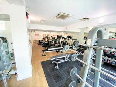 Picture 19
